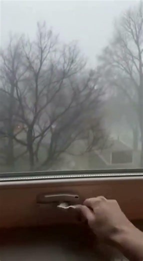 MIRACLE SURVIVAL! 😱 Bird Hit the Window During a Storm, But Survived!