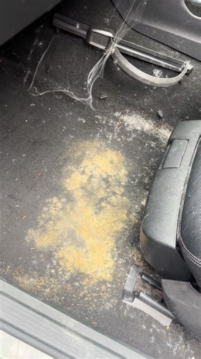 Mercedes E220d interior valet after an extended repair time at a garage. Mould treatment and removal followed up by a thorough steam through. #mercedes #e220 #mouldremoval #steamclean #deepclean