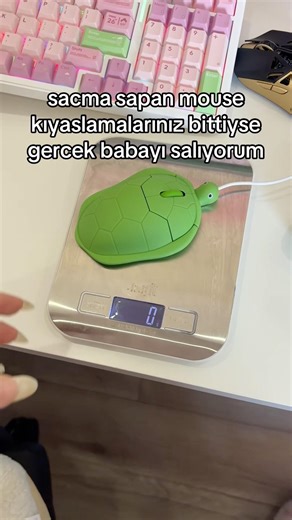 EN İYİ MOUSE!?