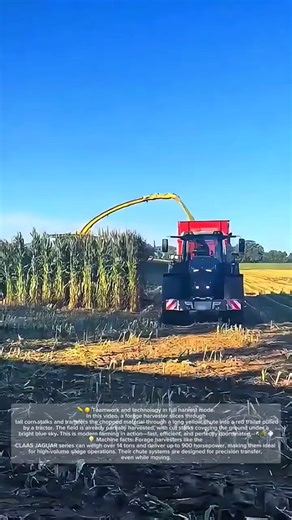 Massive Forage Harvester Unloading Corn – How Many Tons Does It Weigh?
