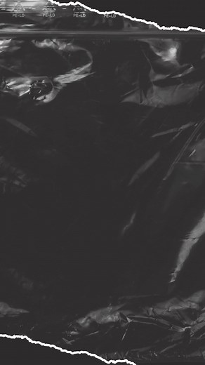 1.5K views | Woohoo! It's leotard fever at the @Premier_Gymnastics' #PlumPopUp! These #PlumGirls are loving their new leos as they hit the gym in style 露‍♀️ #TeamTuesday #PlumLove #Gymnastics #Leotard #Gymnast. | Plum Practicewear | Facebook