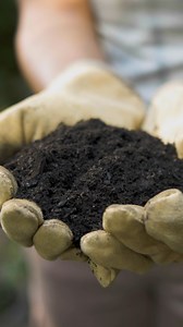 13 reactions · 5 comments | Get ready to transform your lawn this fall with Dr. Scott's expert tips!  Discover why now is the perfect time to give your lawn some TLC. ‍ Learn more here: https://bit.ly/46rHaYc | Scotts Lawn Care | Facebook