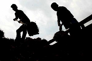 Kementan Konsolidasikan Basis Data Pekebun