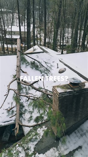 Does your property have fallen trees from the ice storm? Give us a call (662.266.5102) so we can take care of it. This week, we’ve partnered with @beartreellc all the way from Colorado to help us bring some relief to New Albany, Oxford, and the surrounding areas. Our phase 1 is focusing on removing large trees and debris off of structures. Phase 2 will consist of a full clean up. We’re here to help. #treeremoval #icestorm #landscapeservices #newalbanyms #construction | Creekmore Landscape, LTD