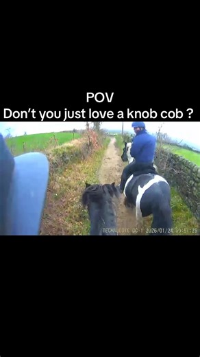 JUST DEE (@pony_lovingdee)’s videos with Run Boy Run - Instrumental - Woodkid