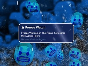 4.1K views · 244 reactions | We hear it's chilly on The Plains 略 | Auburn Football | Facebook