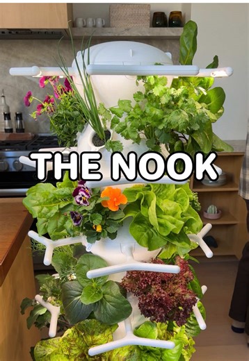 Can’t believe they have it at Costco 🤯🥬 With all of the new reports of new forever chemicals and pesticides being allowed in our food system, I wanted to double down on our indoor growing system. I’ve been growing indoors with Lettuce Grow for six years now, and when I found out they now have their Farmstand Nook at @Costco Wholesale, I had to go check it out 🛒 Ive been wanting to try out the Nook for a while because it has a smaller profile and reservoir compared to the original. It still ca