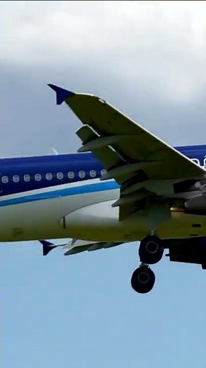 Аэропорт Внуково, Airbus A320-214, бортовой №: 4K-AZ80, а/к Azerbaijan, рейс из Баку (GYD).