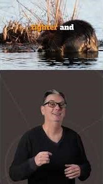 Can a 2MB photo still be a "keeper"?