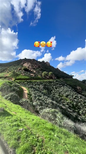 Leticia Alvarez806 (@leticiaalvarez806)’s videos with sonido original - Un Mundo Tan Extraño?