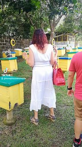 10K views · 255 reactions | Madam Queen Bee Spotted Beesitor From Zambales Enjoy Our Free Farm Tour with the Bees 殺     #PureHoney #HoneyComb #FREEtasteofHoney #FREEFarmTour #HoneyHouseHoneyBeeFarm | Honey House Honey Bee Farm | Facebook