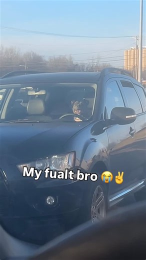 J0J0 | He thinks everything is sunshine and rainbows 😭#funny #dogs #fyp #foryou | Instagram