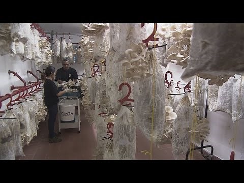 The future of food technology