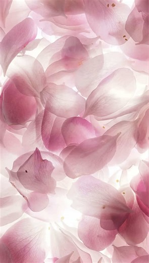 Creative Audio Editing Inspiration