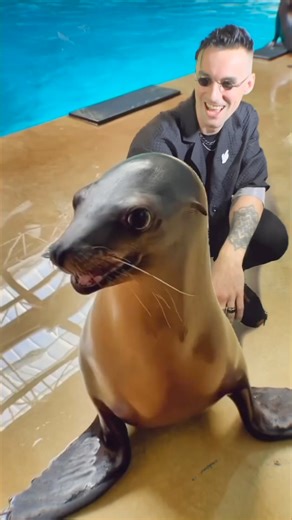 This is some of the rudest drum & bass I’ve heard in years!! 😂 Great video by Venjent! | Sterling Moss