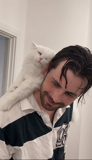 Pancake the Cat Becomes a Towel: A Hilarious Twist