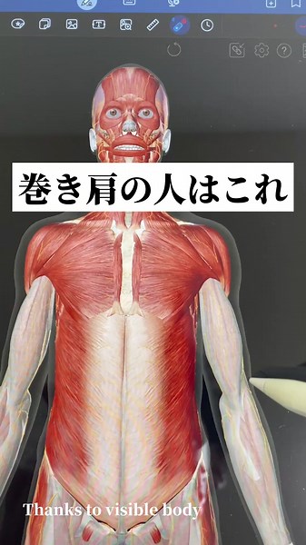 巻き肩の原因で見落としやすい筋肉です！ スマホ、パソコン生活の多い現代人は必須のピラティスです(^^) #ピラティス #巻き肩