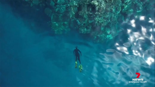 15K views · 198 reactions | A group of First Nations youths have graduated from a specialised reef conservation program, dedicated to protecting and monitoring coral ecosystems. The course also gives graduates the chance to put their new skills to use in different career paths. 7NEWS at 6pm. Download the 7NEWS app: 7news.link/7newsapp #7NEWS | 7NEWS Cairns | Facebook