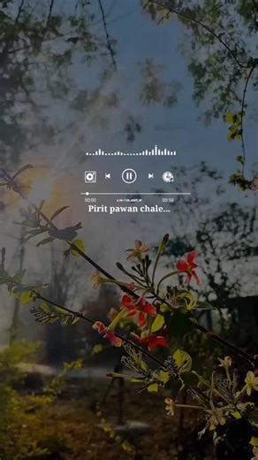 🌸 Geet 🌸 | Pirit Pawan chale madham 🙈❣️ Feel The Song...😊❣️🎧 ♡ ㅤ ❍ㅤ ⎙ㅤ ⌲ ˡᶦᵏᵉ ᶜᵒᵐᵐᵉⁿᵗ ˢᵃᵛᵉ ˢʰᵃʳᵉ Follow - @cg_geet_01 Hastag - #cggeet01 #cg... | Instagram