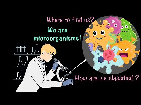 Classification| Understanding Microorganism | Middle School Science | Khan Academy