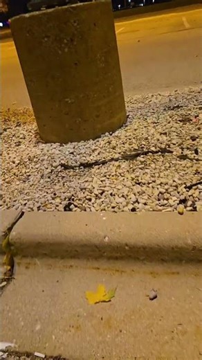 sold 4 pool cues for 40$ #marketplace #sellers #marketplace