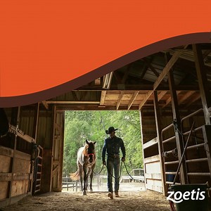 During your horse’s annual wellness exam, talk to your veterinarian about giving your horse comprehensive protection against all 5 (potentially fatal) core equine diseases and influenza with The Perfect Pair: CORE EQ INNOVATOR® and FLUVAC INNOVATOR® EHV-4/1. Call your veterinarian today to make your appointment. | Zoetis Equine