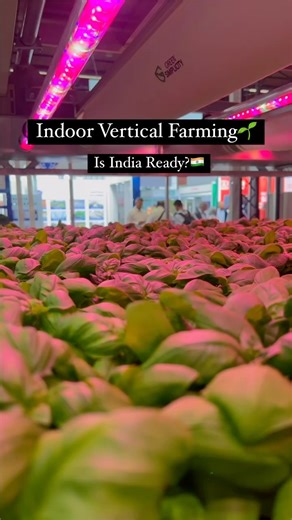 852K views · 169 reactions | “Vertical farming is a concept...