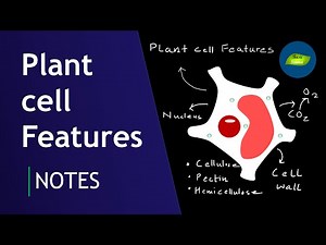 Plant cell characteristics | Plant Cell | Botany | Cell Biology | Basic Science Series