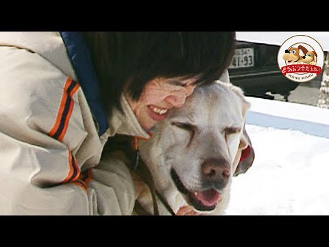 【深い絆】引退した盲導犬が2年ぶりにユーザーの家に里帰り…奇跡の出来事【どうぶつ奇想天外／WAKUWAKU】