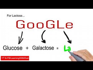 Disaccharides Examples With Trick (JIPMER, ETEA, AIIMS) | Learning With Khan
