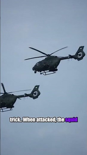 Vampire Squid Turns Inside Out to Survive the Deep Sea