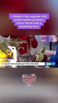 Ciscoe Morris shares unusual plant for Mother's Day