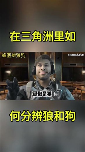 【三角洲行动】在三角洲里如何分辨狼和狗 #三角洲行动 #三角洲行動 #deltaforce
