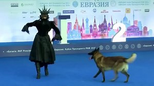 Russians compete in dancing with their dogs