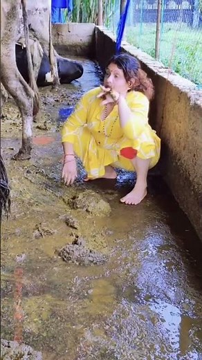 Lady cleans up cow poop by hand 💩