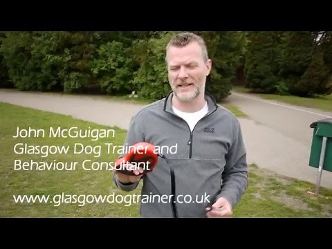 How to properly use a flexi/extending lead