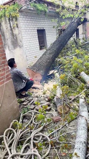 Cutting Through the Past: How Modern Tools Reshape Old Landscapes