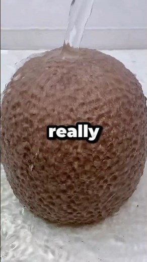 Do Your Friends REALLY Watch Your Videos? 👀📱