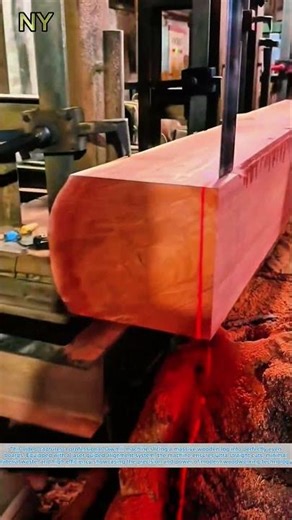 Laser Guided Sawmill Machine: Precision Cutting Massive Logs into Perfect Boards.
