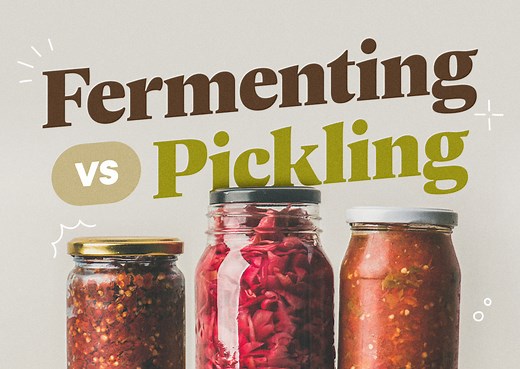 What Is the Difference between Pickling and Fermenting?