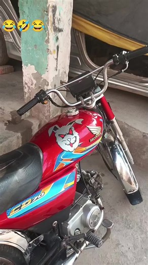 Funny Video Compilation for a Good Laugh