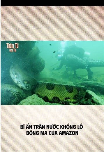P2: Bóng ma sát thủ loài anaconda bí ẩn #sinhton #thuyquai #thamtusinhton