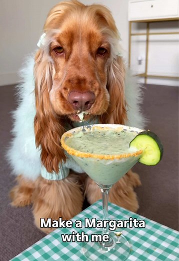 Princess Penny's 3-Ingredient Dog-Friendly Margarita 🍸