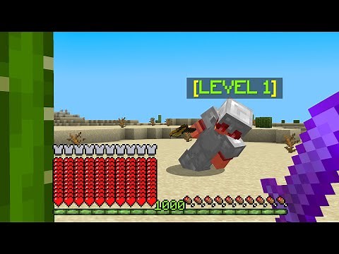 I Used 1000 LEVELS To Kill This Minecraft Player...