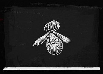 Sparrow's Egg Orchid - Red Dead Redemption 2 Guide - IGN