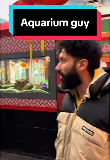 Aquarium Care Tips for Healthy Fish Tanks