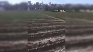 Viral video: Taliban commander uses military chopper to fly his newlywed bride home