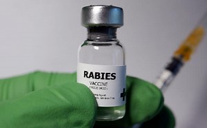 Watch | How is Rabies prevented?