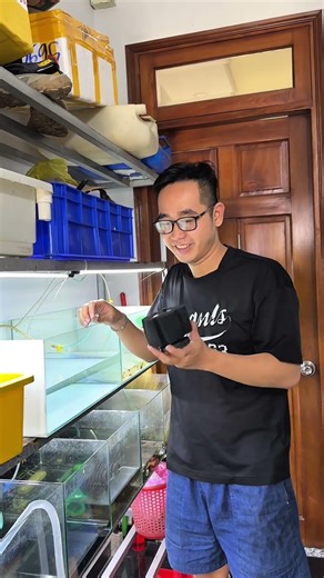 A simple guide to setting up a glass aquarium for keeping fish. #fishkeeping #guppy #coloredfish ...