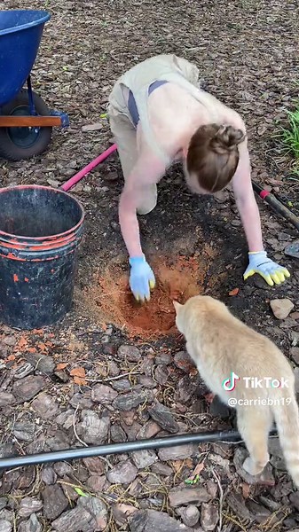 Part 1 of me turning some red clay I dug up in my back yard into pottery. In this video: I dig up the clay, wet process it, dry it, grind it, and mix it with temper. Learned all of this from YouTuber: Andy Ward’s Ancient Pottery. Check him out! #pottery #redclay #newhobby #backyardvibes #learnsomethingnew